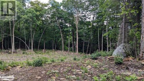 Lot 2 Esig Lane, Lake Of Bays, ON 