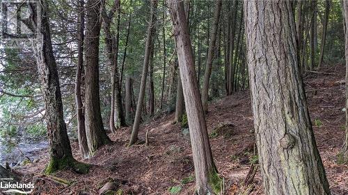 Lot 2 Esig Lane, Lake Of Bays, ON 