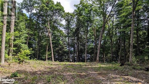 Lot 1 Esig Lane, Lake Of Bays, ON 