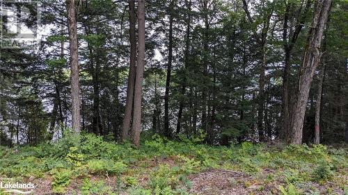 Lot 1 Esig Lane, Lake Of Bays, ON 