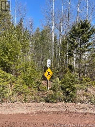 Lot Marine Drive, Youngs Cove, NB 