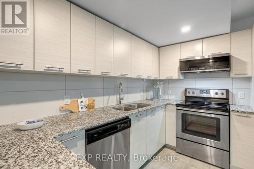 106 - 288 Albert Street, Waterloo, ON - Indoor Photo Showing Kitchen With Double Sink With Upgraded Kitchen