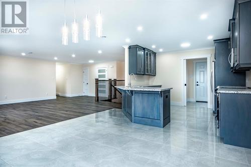 37 Kennedys Lane, Holyrood, NL - Indoor Photo Showing Kitchen