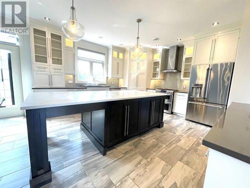 10 Paul'S Lake, Badger, NL - Indoor Photo Showing Kitchen With Stainless Steel Kitchen With Upgraded Kitchen