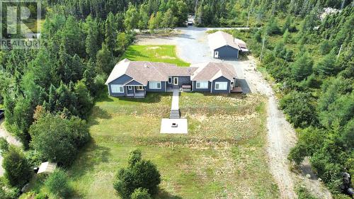 10 Paul'S Lake, Badger, NL - Outdoor With View