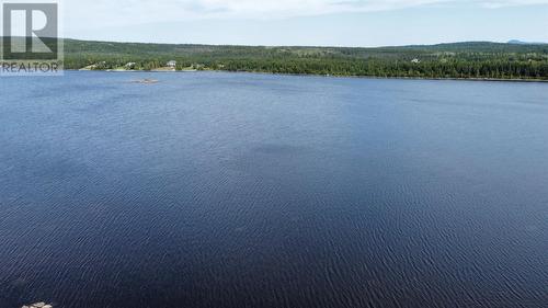 10 Paul'S Lake, Badger, NL - Outdoor With Body Of Water With View