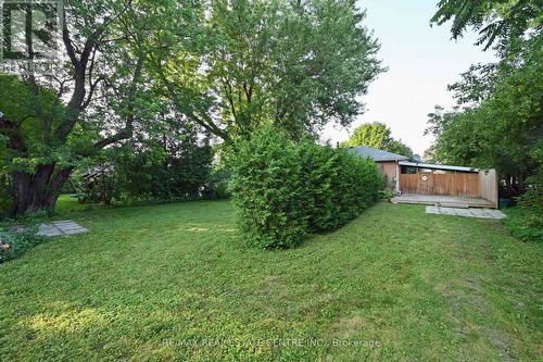 56 William Street, Orangeville, ON - Outdoor