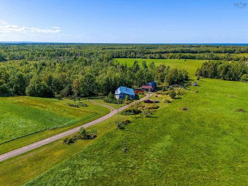 319 Mcauley Road, Hedgeville, NS 