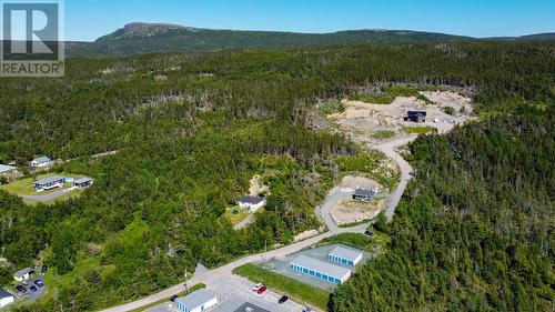 9 Fureys Woodpath, Holyrood, NL 