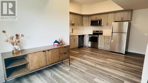 502 - 246 Lester Street, Waterloo, ON - Indoor Photo Showing Kitchen With Stainless Steel Kitchen