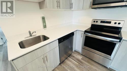 502 - 246 Lester Street, Waterloo, ON - Indoor Photo Showing Kitchen