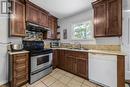 115 Bonaventure Avenue, St. John'S, NL  - Indoor Photo Showing Kitchen With Double Sink 