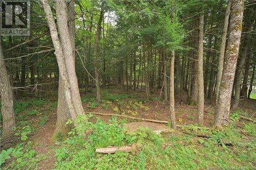 128 Country Wood Lane, Richibucto Road, NB - Outdoor With View