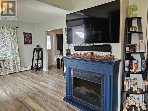 9 Legallais Street, Channel-Port Aux Basques, NL - Indoor Photo Showing Living Room With Fireplace