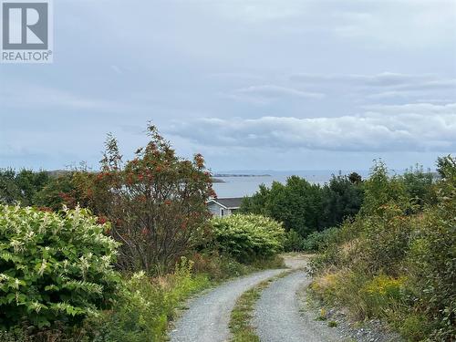 5 Covages Lane, Freshwater, NL - Outdoor With View