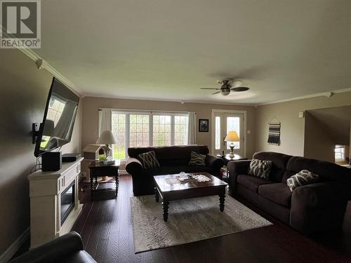 5 Covages Lane, Freshwater, NL - Indoor Photo Showing Living Room