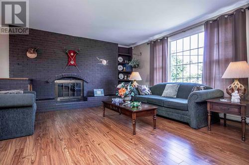 11 Heightview Drive, Paradise, NL - Indoor Photo Showing Living Room