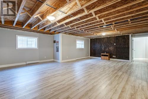 56B The Battery Road, Spaniards Bay, NL - Indoor Photo Showing Basement