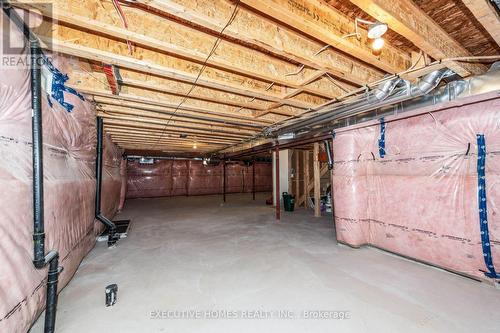 64 Wildflower Lane, Halton Hills (Georgetown), ON - Indoor Photo Showing Basement