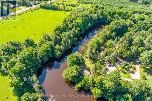 2433 County Road 121 Road, Kawartha Lakes, ON - Outdoor With View