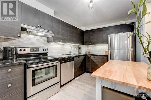 14A Benlea Drive, Ottawa, ON - Indoor Photo Showing Kitchen With Upgraded Kitchen