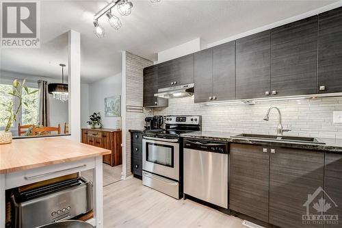 14A Benlea Drive, Ottawa, ON - Indoor Photo Showing Kitchen With Upgraded Kitchen