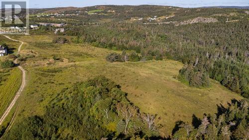 Parcel A Lily Pond Road, Carbonear, NL 