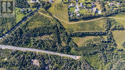 Parcel A Lily Pond Road, Carbonear, NL 