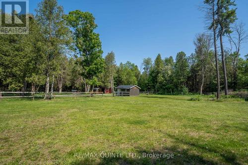 1976 Shelter Valley Road, Alnwick/Haldimand, ON - Outdoor With View