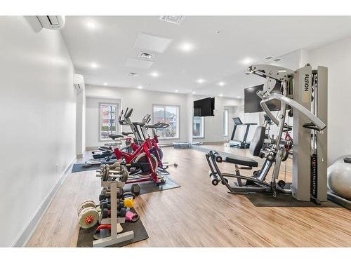 Exercise room - 403-8255 Boul. Leduc, Brossard, QC - Indoor Photo Showing Gym Room