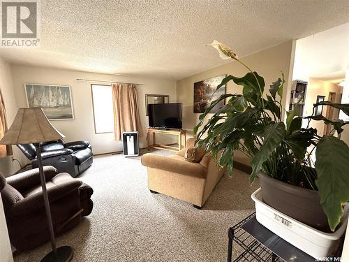 319 Barsness Bay, Richmound, SK - Indoor Photo Showing Living Room