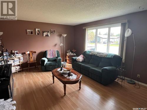 409 Saskatchewan Avenue, Foam Lake, SK - Indoor Photo Showing Living Room