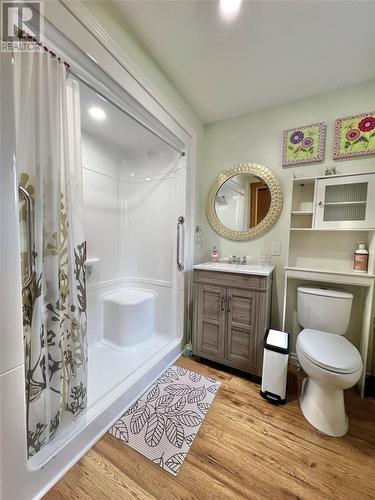 2 Doves Lane, Bishops Falls, NL - Indoor Photo Showing Bathroom