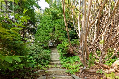 11 Hawthorn Place, St. John'S, NL - Outdoor