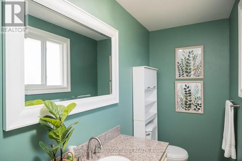 110 Kingham Road, Halton Hills (Acton), ON - Indoor Photo Showing Bathroom