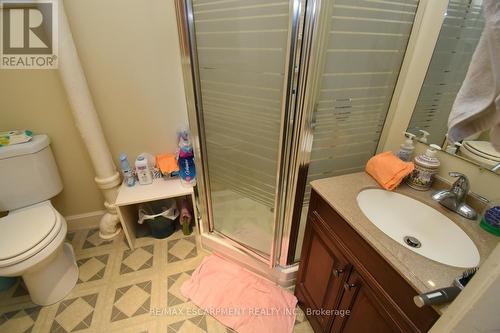 168 Macnab Street N, Hamilton, ON - Indoor Photo Showing Bathroom