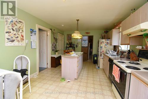 168 Macnab Street N, Hamilton, ON - Indoor Photo Showing Kitchen