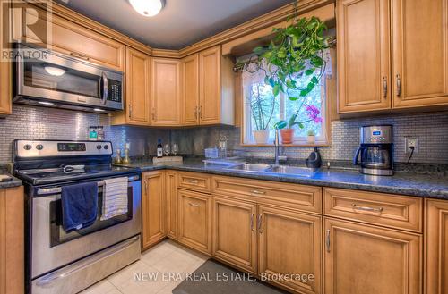 127 Nash Road S, Hamilton (Greenford), ON - Indoor Photo Showing Kitchen With Double Sink