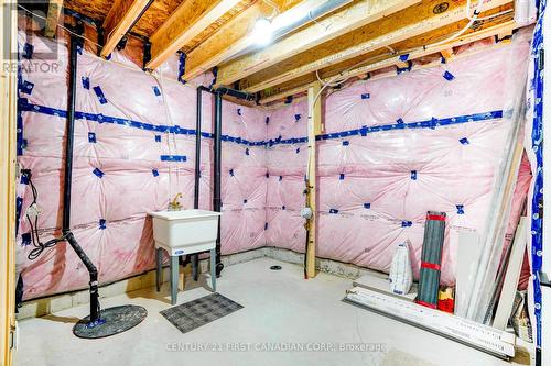 269 Greene Street, South Huron (Exeter), ON - Indoor Photo Showing Basement