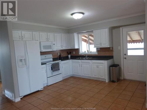 3429 Caribou Crescent, Windsor, ON - Indoor Photo Showing Kitchen With Double Sink