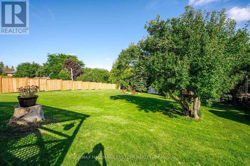 880 Clinton Avenue, Douro-Dummer, ON - Outdoor With Backyard