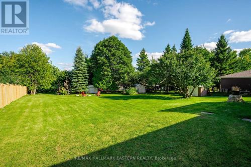 880 Clinton Avenue, Douro-Dummer, ON - Outdoor With Backyard