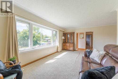 880 Clinton Avenue, Douro-Dummer, ON - Indoor Photo Showing Living Room