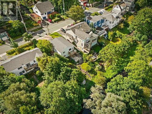 48 Empire Avenue, St. John'S, NL - Outdoor With View