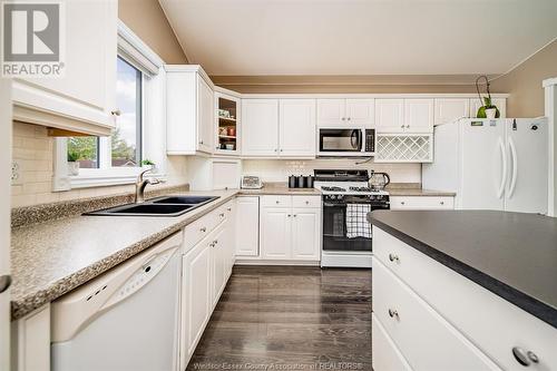 10884 Brentwood Crescent, Windsor, ON - Indoor Photo Showing Kitchen With Double Sink