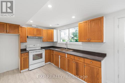 45 Acadia Crescent, St. Catharines, ON - Indoor Photo Showing Kitchen With Double Sink