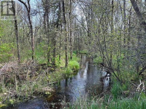 810 4Th Line, Douro-Dummer, ON - Outdoor With View