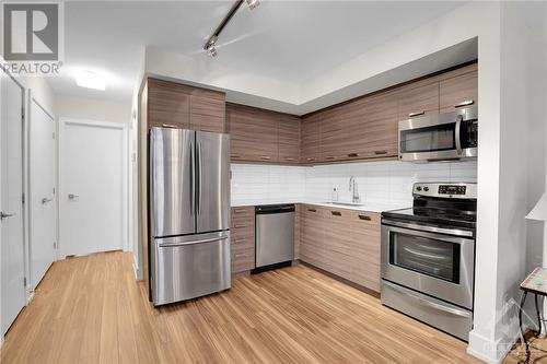 Lower level apartment - 272 Beechgrove Avenue, Ottawa, ON - Indoor Photo Showing Kitchen