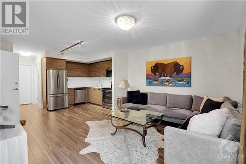 272 Beechgrove Avenue, Ottawa, ON - Indoor Photo Showing Living Room