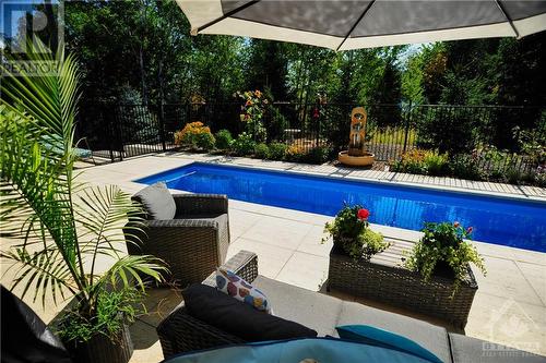 19 Neely Street, Ottawa, ON - Outdoor With In Ground Pool With Deck Patio Veranda With Backyard